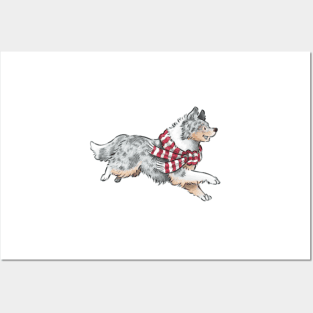 Aussie Shepherd Posters and Art